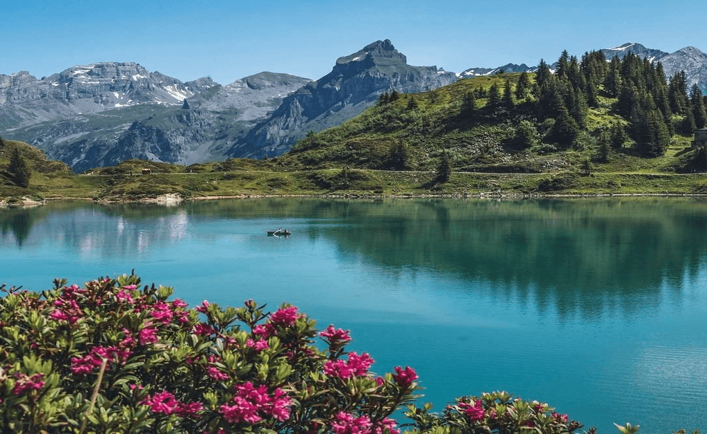 Scenic Summer View of a Swiss Lake and Alpine Mountains.