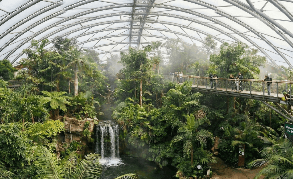 Wide interior view of the Masoala Rainforest Hall at Zurich Zoo, featuring a large transparent curved roof, lush tropical vegetation, a cascading waterfall into a pond, and a raised steel treetop walkway with visitors observing the ecosystem.